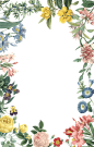 唯美森系小清新植物花卉花环手绘绿叶花草边框装饰PNG免抠PS素材
