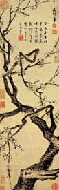 《冰姿倩影图》
明 文徵明 纸本墨笔 纵76.9厘米 横24.5厘米 南京博物馆藏

文徵明作为“吴门画派”的掌门人之一,其绘画在明代的影响是有目共睹的。他不但画山水是一绝,画梅兰竹菊也是别有风味。无论从立意构图还是绘画技艺,都是首屈一指的。此图状写曲梅一丛,梅花不多,梅枝却很遒劲粗率,很有气势。画家用浓墨渲染梅枝,用淡墨勾勒梅花的轮廓,使原本洁白无暇的白梅越发显得冰清玉洁,很是高雅脱俗。
