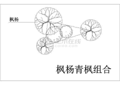 飞扬吧青春采集到LA植物配置