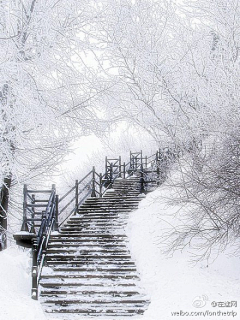 为什么不让我豋采集到那白色的雪啊