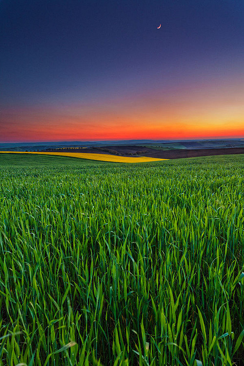 日落旷野，保加利亚
