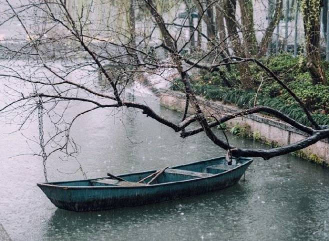 记得雨中逢，记得青花伞。记得桥头白海棠，...