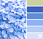 Design Seeds : Design Seeds color palettes ... posted daily for all who love color.