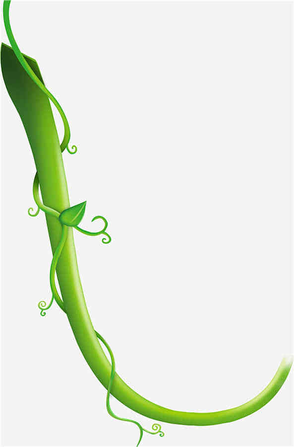 绿色树藤装饰植物元素