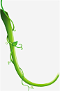 绿色树藤装饰植物元素