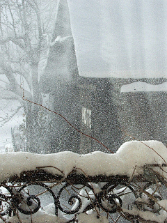 珂居网官网采集到雪