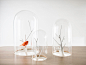 Archibird cage by Grégoire de Lafforest | Design42Day