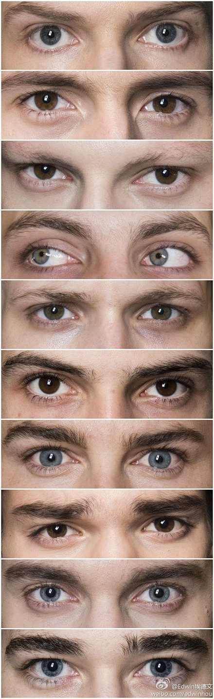 这里是截取自10位欧洲男模的双眼，一眼看...