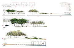 灵感邦采集到landscape丨景观设计剖面图丨分析图