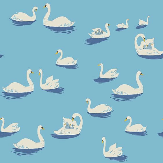 swans and cygnets: 