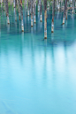 北海道・美瑛町　青い池

長秒撮影してみました
長秒・青い溜