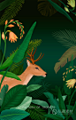 夏季热带雨林植物叶子花卉火烈鸟插画海报平面包装背景设计ps素材-淘宝网