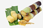 绿叶蔗糖与新鲜竹蔗高清素材 免抠 水果 淡黄色 清香甘甜 甘蔗 竹蔗 蔗糖 免抠png 设计图片 免费下载