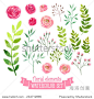 Vector floral set. Colorful floral collection with leaves and flowers, drawing watercolor. Spring or summer design for invitation, wedding or greeting cards 正版图片在线交易平台 - 海洛创意（HelloRF） - 站酷旗下品牌 - Shutterstock中国独家合作伙伴