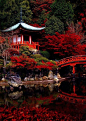 Daigo-ji Temple , Kyoto, Japan。日本京都醍醐寺。醍醐寺由圣宝理源大师建于公元874年（唐贞观十六年），为日本佛教真言宗醍醐派的总院，后得醍醐天皇尊崇，不断扩建，形成现今规模。醍醐寺山门右手的叁宝院规模宏大的庭园，是代表丰臣秀吉桃山时代的重要宝藏。丰臣秀吉鼎盛时期在此举办盛大的“醍醐赏花”会，尽显登峰造极之势，醍醐寺也因此天下闻名。醍醐寺已被列为世界文化遗产。 #国外# #景点# #日本#