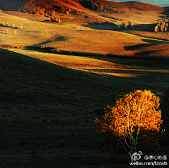 重重复重重采集到Photograph