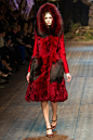 Dolce & Gabbana - Fall 2014 Ready-to-Wear Collection