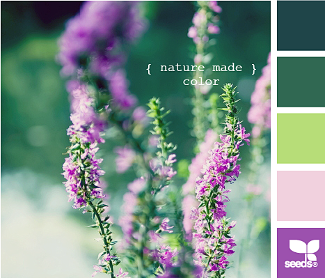 nature made color