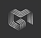 MG<br/>A compelling logo by Jan Zabransky.