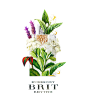 Beauty in Bloom : Beauty in BloomBottles of the most famous fragrance brands illustrated along with their ingredients to celebrate the arrival of Spring. Ingredients are selected from the top, the heart and the base notes and combined to create this serie