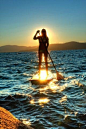 Stand Up Paddle Boards