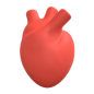 Human Heart 3D Illustration