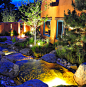Residential Landscape Design & Construction Portfolio | Denver, CO