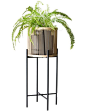 RHYTHM Plant Stand - Natural - 32x80cm image 2