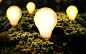 digital art electricity light bulbs moss wallpaper (#1369490) / Wallbase.cc