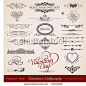 vector set: calligraphic design elements and page decoration - lots of useful elements to embellish your layout - stock vector