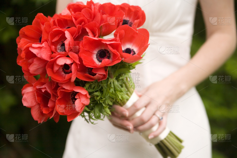 14047cabf6cec4317cdb249c63bb1ee28b16bc453ea1b-aocdQF