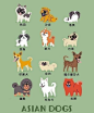 插画家Lili Chin作品：《全世界的狗狗》。
快来找找看，里面有没有你的狗狗呢？ ​​​​