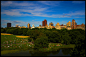 Flickr 搜尋: central park