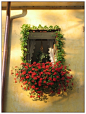 每一扇窗都开满鲜花—莫奈的花园：法国小镇吉维尼。























