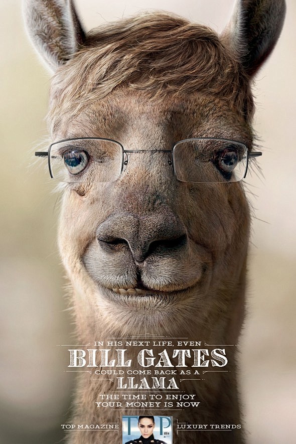 下辈子比尔·盖茨也可能变成羊驼，所以享受...