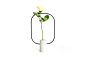 Petit / Vase : Inspired by the famous novel “The Little Prince”, in which the protagonist took care of his beloved rose, Petit is a small vase to contain and emphasize only one cut-flower. The base in Carrara marble houses a small vial and supports a ligh