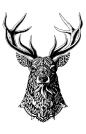 #tattoo##纹身##图案#Ornate Deer Print: 