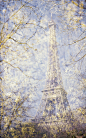 Photograph I Dreamt of Paris by Vivian Ainsalu