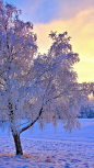 唯美夕阳雪景自然风光手机壁纸