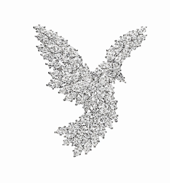 榆城古風采集到哈利•温斯顿(HARRY WINSTON)