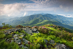 西瓜先生、采集到/素材/风景 高山 森林 湖泊 草原 沙漠背景