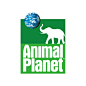 Animal Planet公司logo
