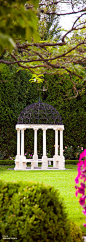 Pergola Dome and Flowers