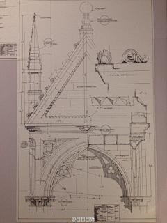 康大财采集到插画-手绘