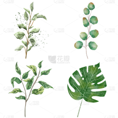 花瓣素材采集到绿植免抠元素