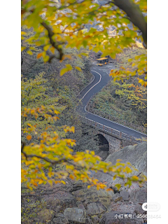 -故林采集到摄影-风景