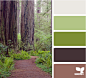 wooded hues