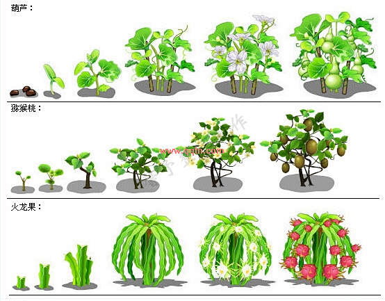 QQ农场作物全图鉴（图文）-腾牛网