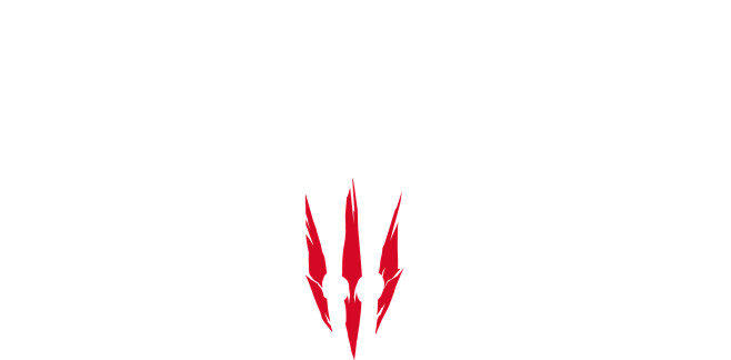 The Witcher Wild Hun...