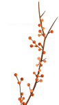 [ 乐分享 ] PNG高清免扣植物